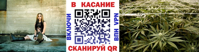 Как найти наркотики Черногорск Бошки Шишки  Меф  COCAIN  СОЛЬ  Кетамин  ГАШ 