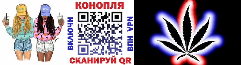 Каннабис план  где продают   Черногорск 